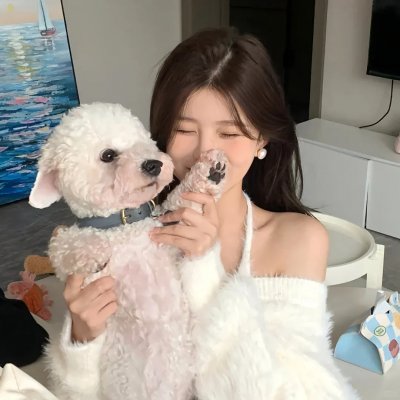 伙伴